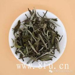 枸杞白茶的泡法