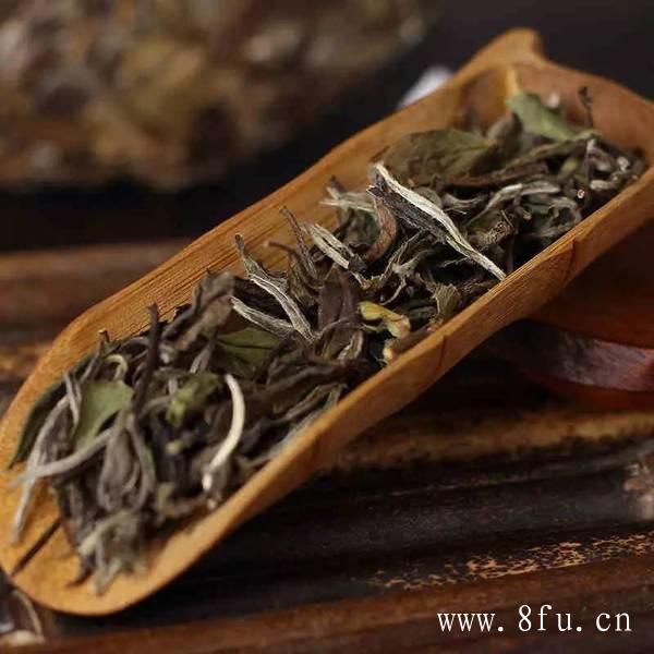 白毫银针陈茶价格