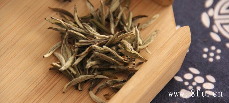 新茶的泡法