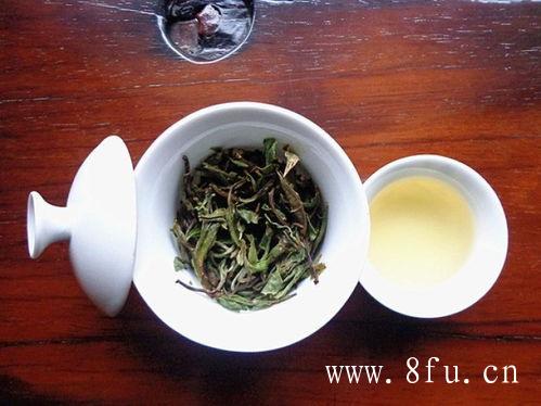 白牡丹茶制作要点,福鼎白茶怎么泡好喝,白牡丹茶制作要点