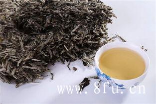 白茶不同茶具不同泡法