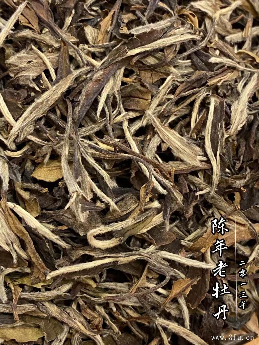 福鼎白茶——中国茶叶不可缺少的一部分