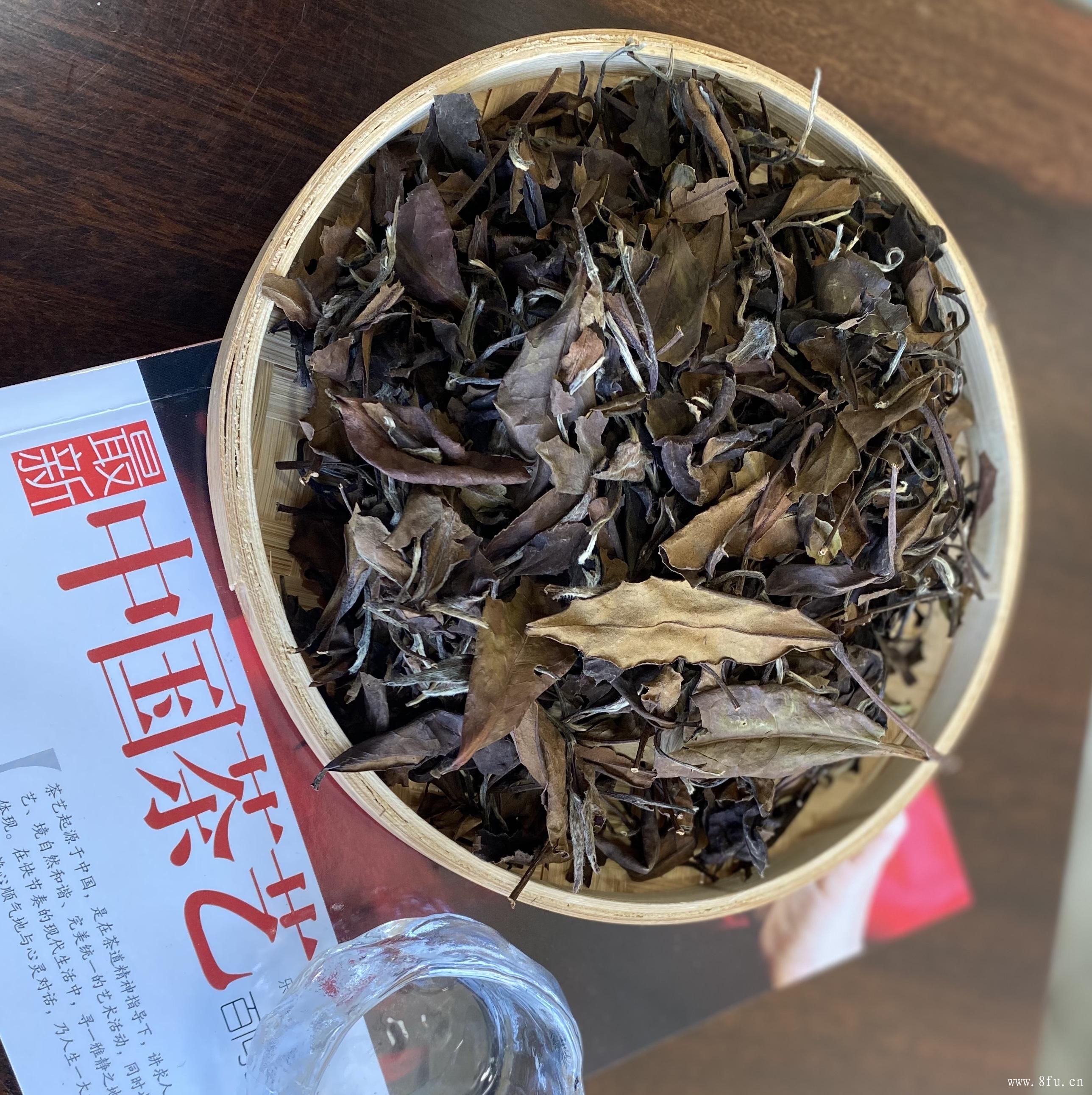 福建福鼎是白茶的主要产地！