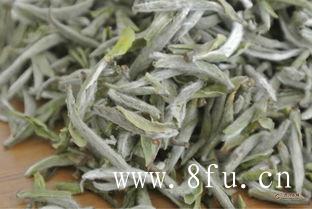 安吉白茶是什么属性
