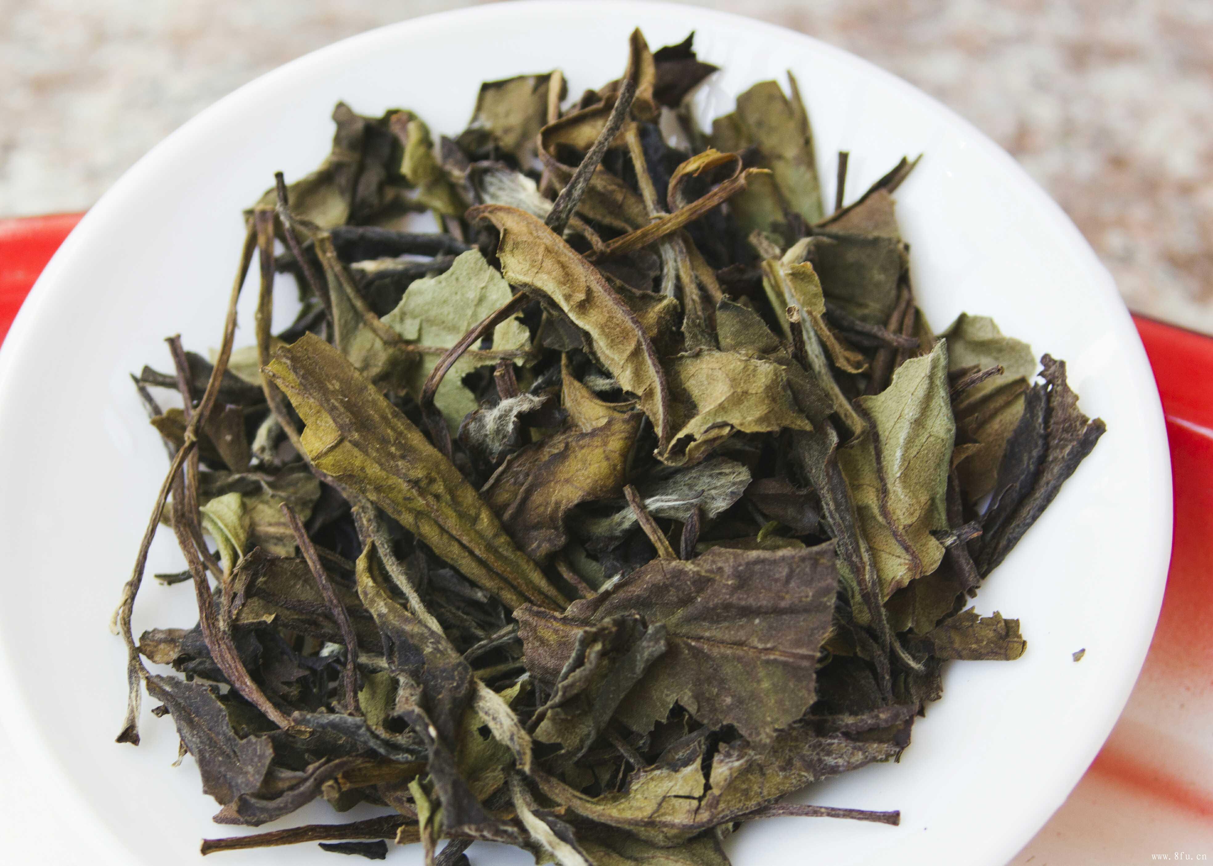 安吉白茶是哪里的