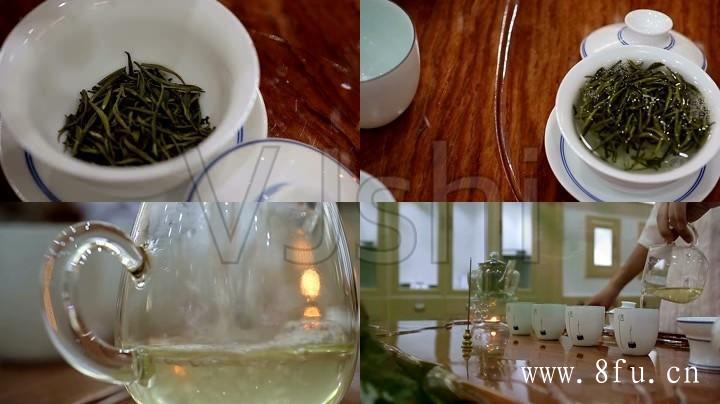 安吉白茶极白谈谈您对其的认识