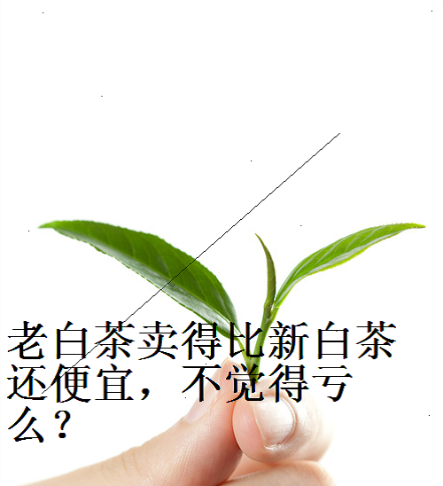 老白茶卖得比新白茶还便宜吗