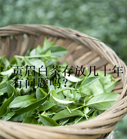 贡眉白茶存放几十年有问题吗？