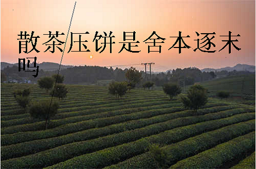 散茶压饼是舍本逐末吗