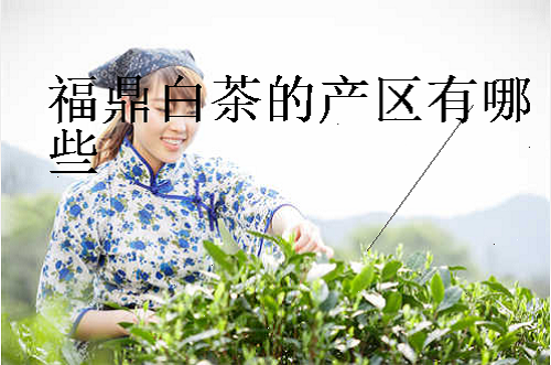 福鼎白茶的产区有哪些