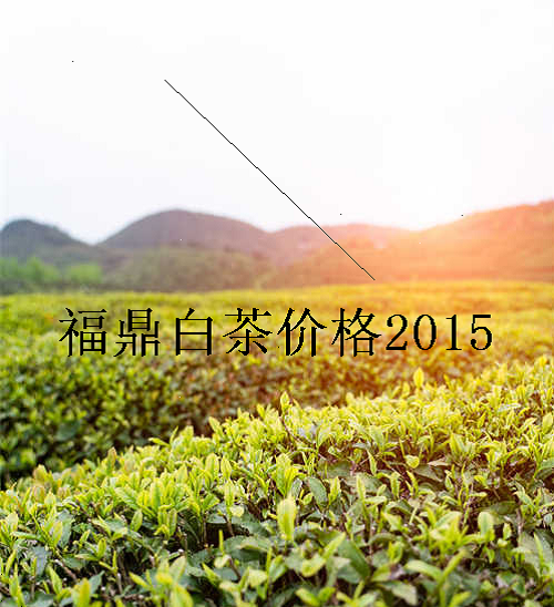 福鼎白茶价格2015