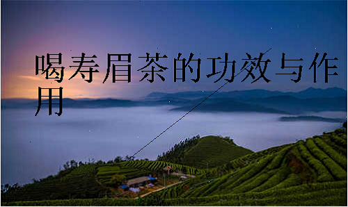 喝寿眉茶的功效与作用