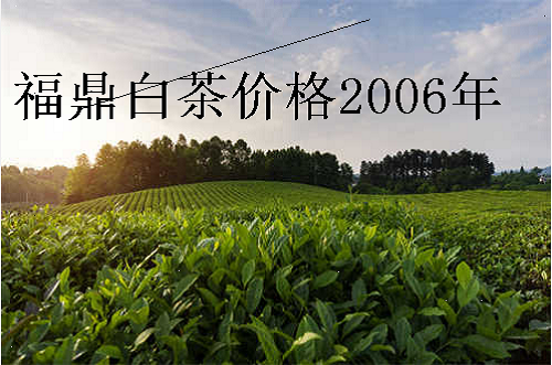 福鼎白茶价格2006年