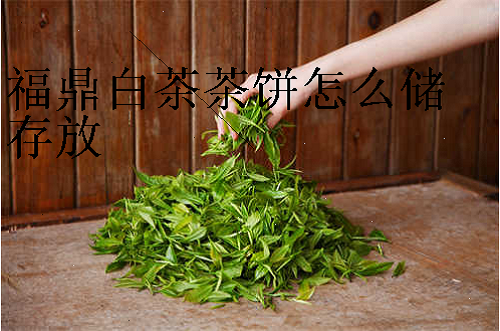 福鼎白茶茶饼怎么储存放