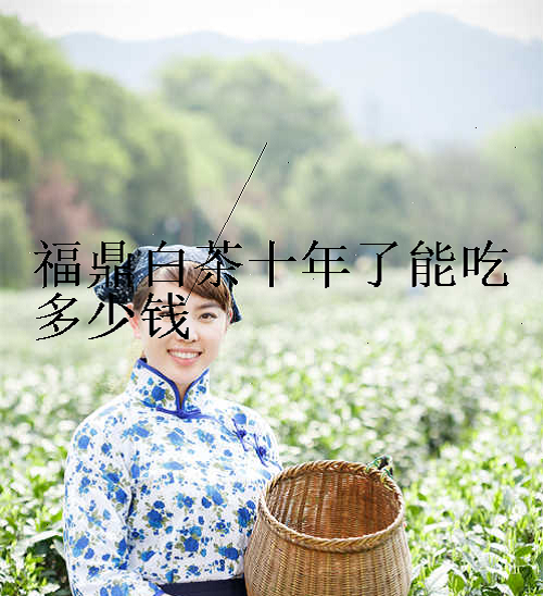 福鼎白茶十年了能吃多少钱