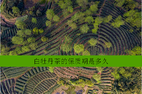 白牡丹茶的保质期是多久