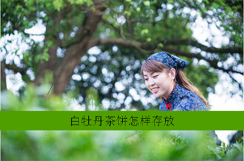白牡丹茶饼怎样存放