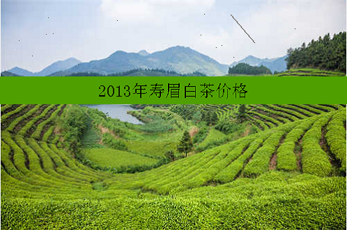 2013年寿眉白茶价格