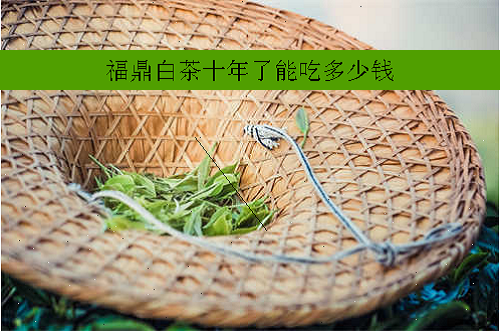 福鼎白茶十年了能吃多少钱