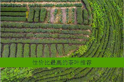 性价比最高的茶叶推荐
