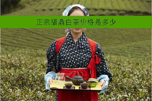 正宗福鼎白茶价格是多少