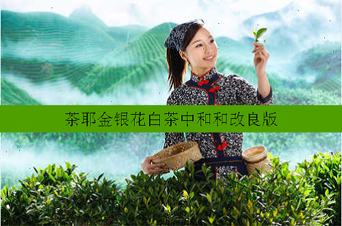 茶耶金银花白茶中和和改良版