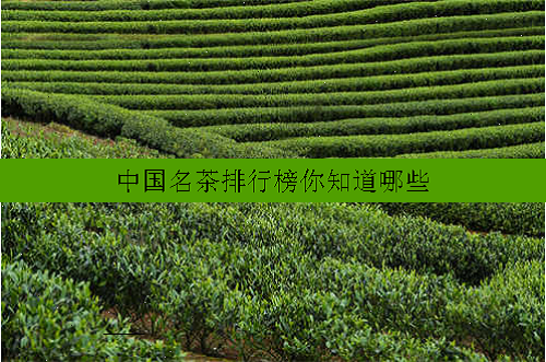 中国名茶排行榜你知道哪些