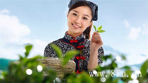 10年的福鼎白茶值多少钱一斤