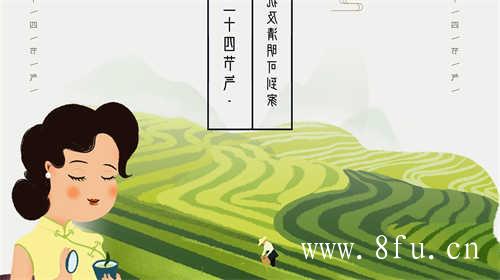 白茶为什么不能烘干