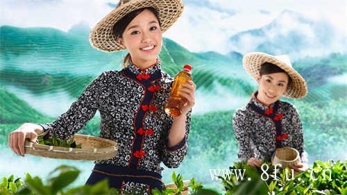 老白茶价格低为啥不能买