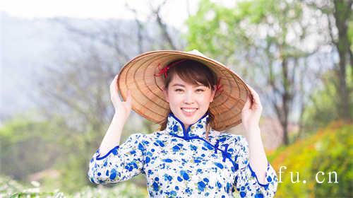 花香白牡丹