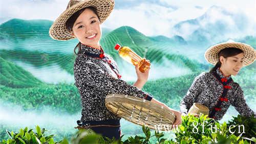 福鼎白茶对健康的益处