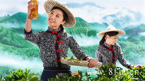 福鼎白茶十年了能吃多少钱