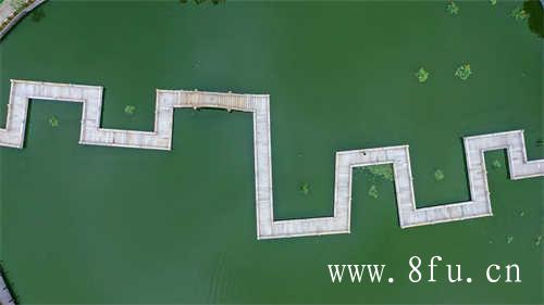 老白茶为什么不用沸水冲泡