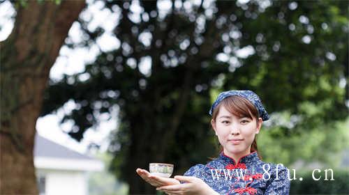 泡白茶时可不可以留根泡法