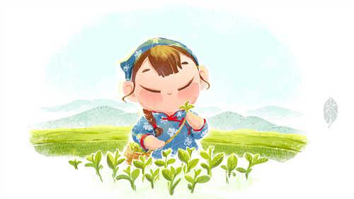 白茶存坏了是什么原因