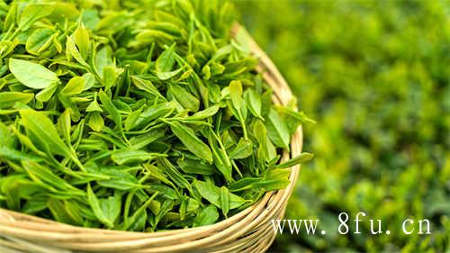 哪些品牌的茶可以推荐一下