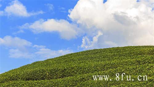 风景图集福建福鼎风景