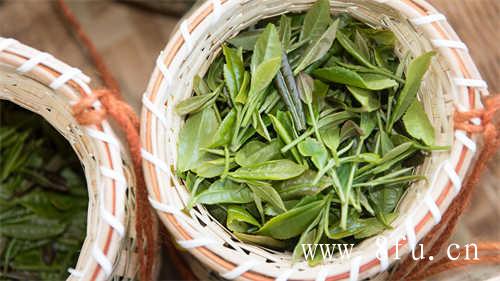 蜜桃乌龙茶颜得欢biubiu