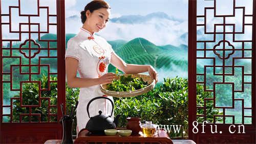 四川白茶与福鼎白茶的区别