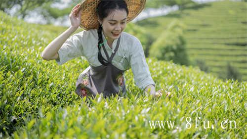 福州正式授牌试点大众茶馆14家